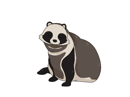 タヌキ（座る） タヌキ,動物,日本,夜行性,座るのイラスト素材
