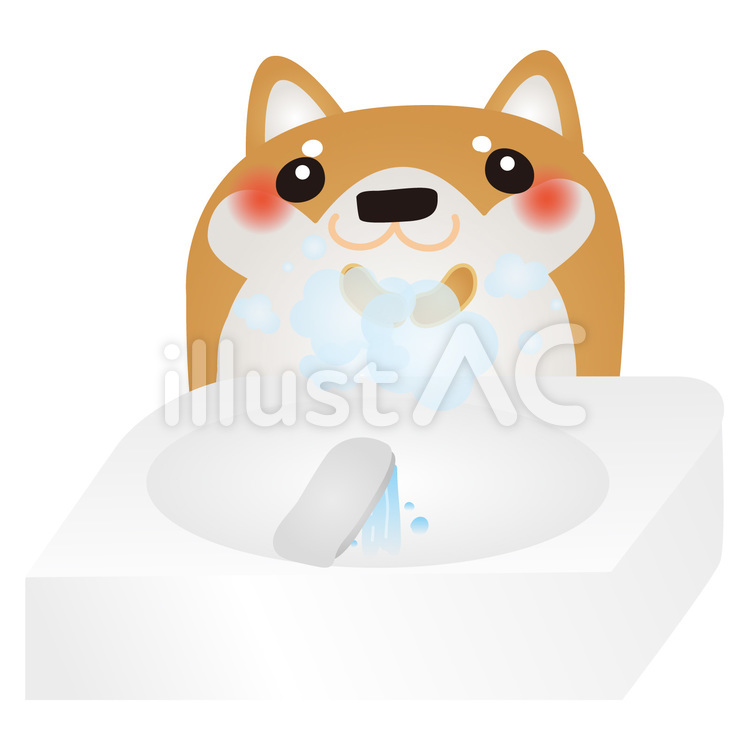 柴犬手洗い 犬,手洗い,予防のイラスト素材