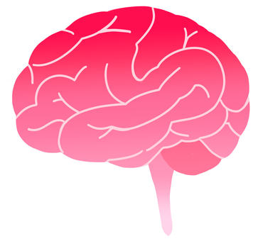 脳みそ・シルエット・グラデーション・赤 脳みそ,脳,シルエット,アイコン,グラデーション,赤,手描き,大脳,大脳新皮質,小脳のイラスト素材