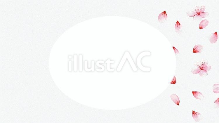 桜の花びら　フレーム 桜,春,花びらのイラスト素材