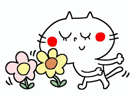 猫　花