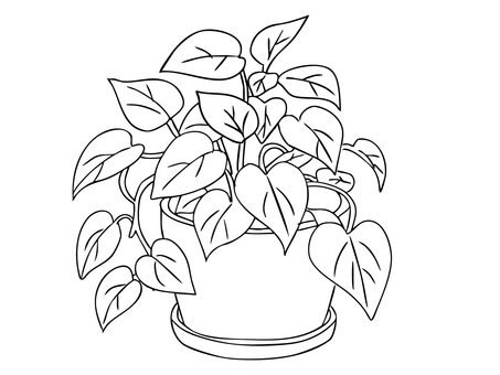 鉢植えの観葉植物 観葉植物,鉢植え,植物,葉っぱ,葉,グリーン,インテリア,室内,室内植物,観葉のイラスト素材