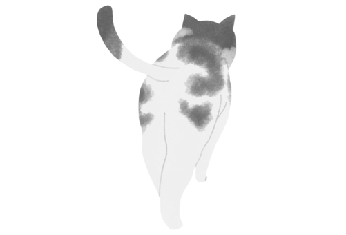 Illustration, cat, black and white, walk, 