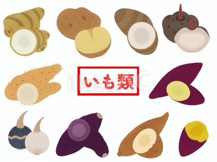 いも類・半分カット 素材 背景透過ありイラスト - No: 27547531｜無料イラスト・フリー素材なら「イラストAC」