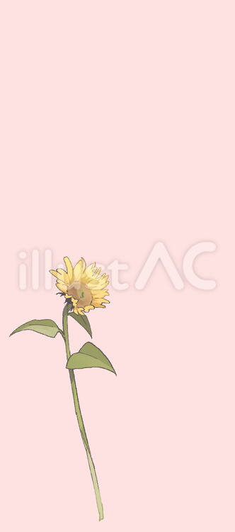 一筆箋　それとなく向日葵２ ひまわり,花,植物のイラスト素材