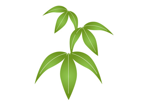 bamboo, JPG and AI bamboo, , JPG and AI