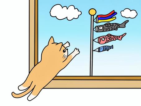 Illustration, cat, carp streamer, window, 