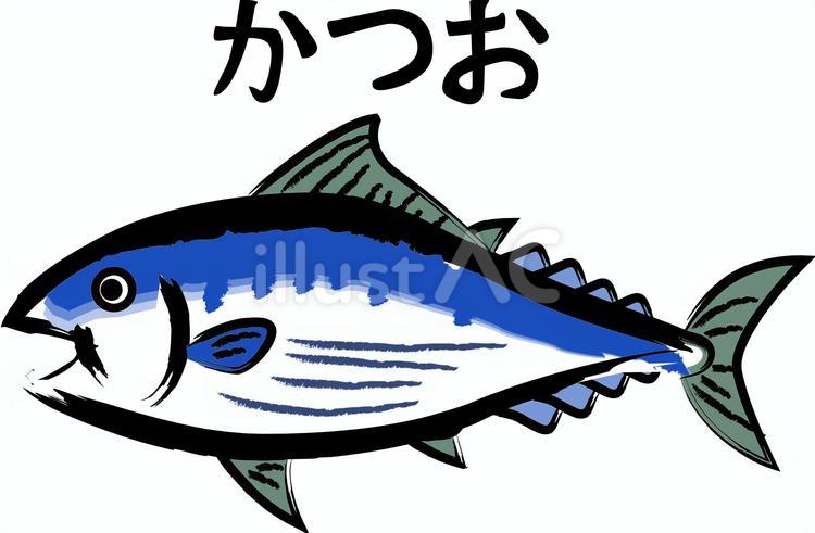 鰹 イラスト - No: 26972044｜無料イラスト・フリー素材なら「イラストAC」