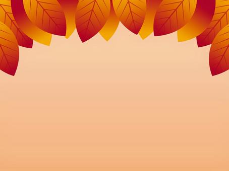 Illustration, autumn leaves, fallen leaves, plant, 