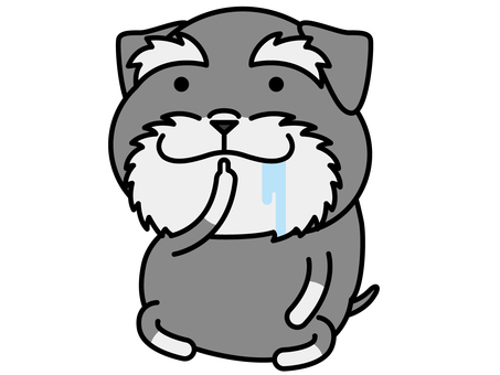 シュナウザーさん よだれ シュナウザー,涎,空腹,犬,小型犬,動物,キャラクター,哺乳類,ベクター,イラストのイラスト素材