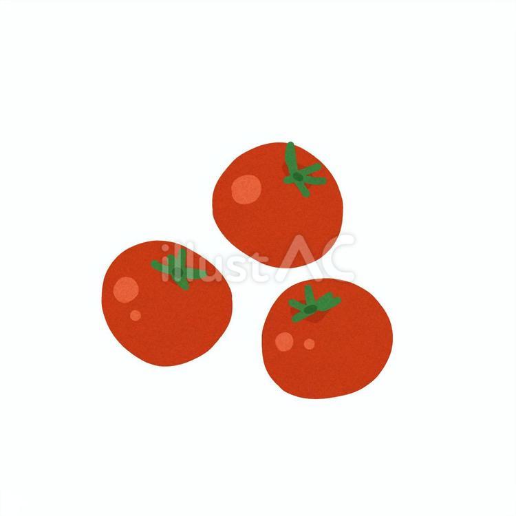 09ミニトマト ミニトマト,野菜,食べ物のイラスト素材