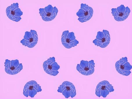 青っぽいアネモネでピンク背景 アネモネ,春,花,植物,背景,かわいい,シンプル,anemoneのイラスト素材