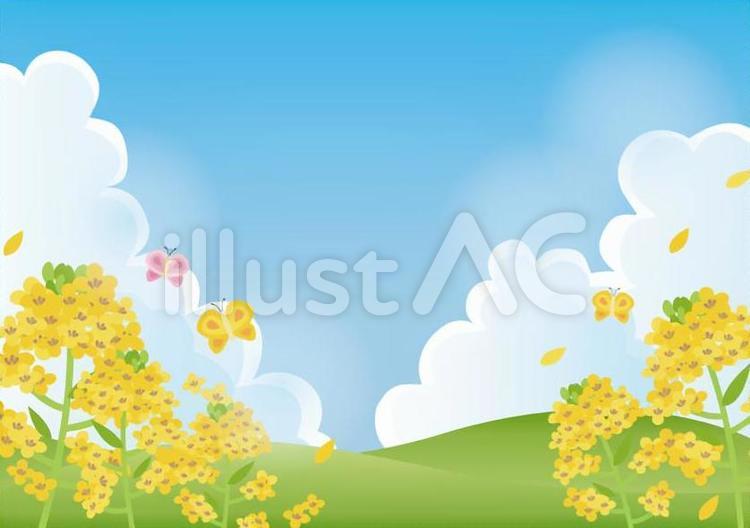 菜の花フレーム 菜の花,春,フレームのイラスト素材