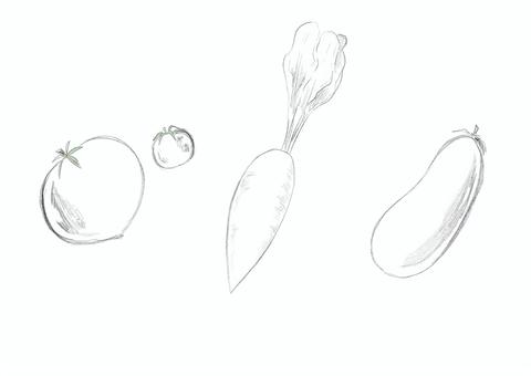 野菜イラスト1(線画) 野菜,トマト,大根,なす,ダイコン,茄子,だいこん,鉛筆風,食材,食べ物のイラスト素材