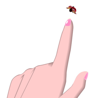 Hand finger index finger ladybugs insects, , JPG, PNG and AI