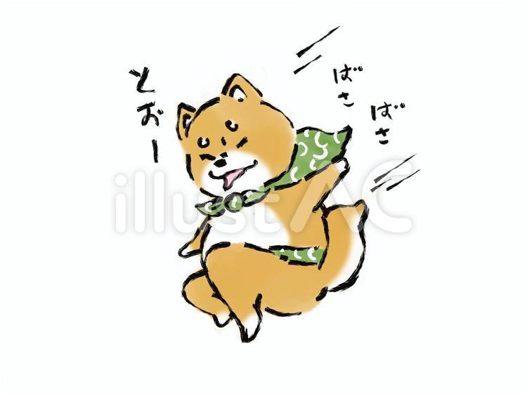 柴犬マン　推参！ 犬,柴犬,わんこのイラスト素材