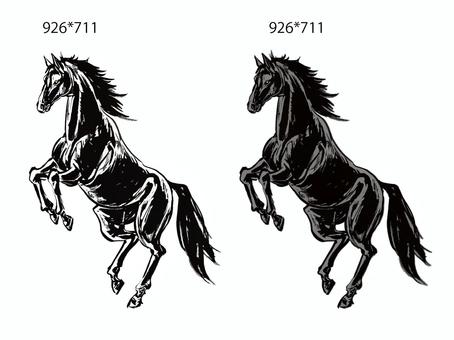 Illustration, cavalo, zodíaco, zodíaco chinês, 