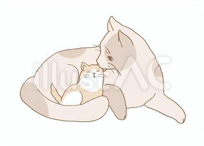 ねこの親子