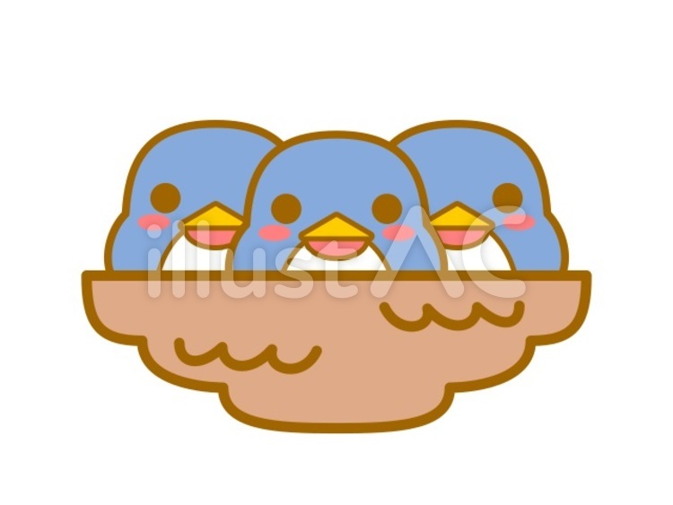 ツバメの巣 ツバメ,鳥,雛のイラスト素材