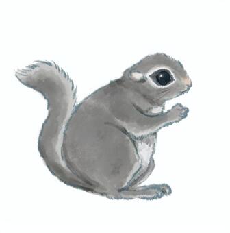 エゾモモンガ エゾモモンガ,モモンガ,野生動物,北海道,生き物,自然のイラスト素材