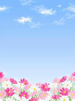 コスモスの背景、フレーム13 コスモス,空,秋,花,水彩,背景,秋桜,壁紙,フレーム,飾り枠のイラスト素材