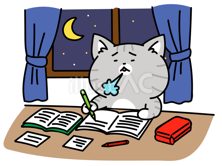 気がつけば深夜まで勉強してた猫ちゃん ねこ,深夜,勉強のイラスト素材