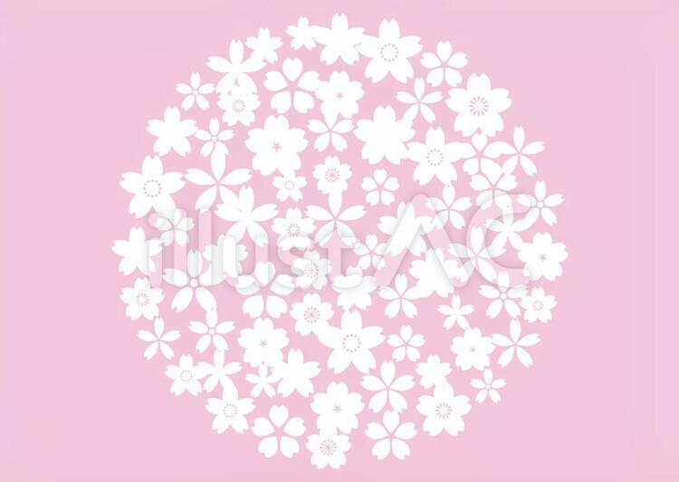 桜14a 桜,花びら,春のイラスト素材