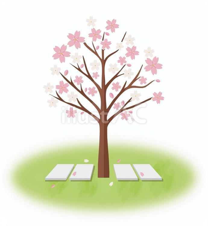 桜の木の下の樹木葬 お墓,新緑,木のイラスト素材