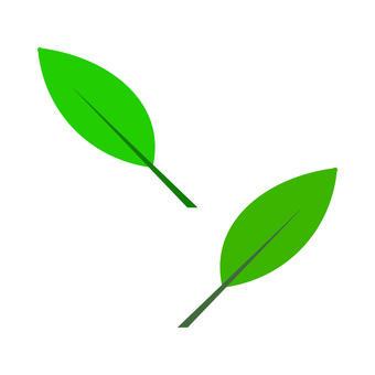 2枚の葉っぱ 葉っぱ,葉,木の葉,リーフ,植物のイラスト素材