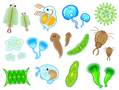 微生物とプランクトンのイラスト素材セット 微生物,プランクトン,ミジンコ,ミカヅキモ,ホウネンエビ,ウミホタル,カブトエビ,アメーバ,クンショウモ,ゾウリムシのイラスト素材