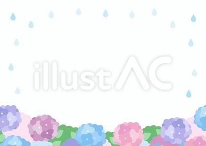 梅雨のあじさい
