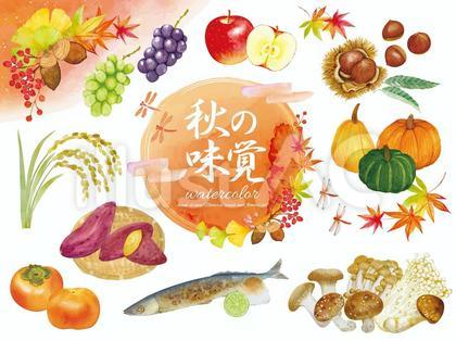 秋の味覚セット