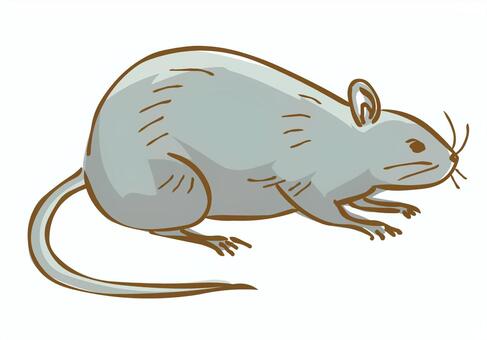 Illustration, a mouse, animal, creatures, JPG, PNG and AI