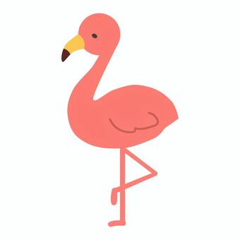 フラミンゴ フラミンゴ フラミンゴ,動物,鳥,動物園,生き物,自然,ピンク,水辺,野生,飼育のイラスト素材