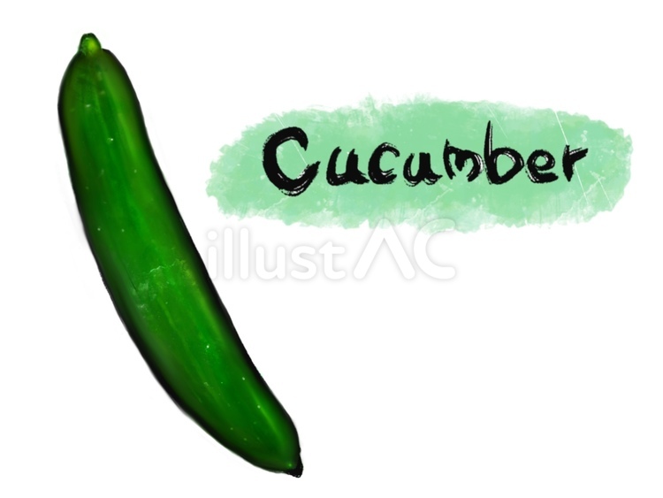 cucumber キュウリ,cucumber,野菜のイラスト素材