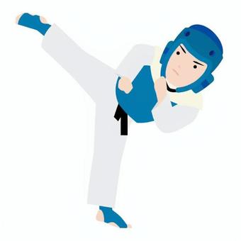 テコンドー テコンドー 韓国,外国,アジア圏,テコンドー,道着,帯,ヘッドギア,足蹴り,動作,立つのイラスト素材