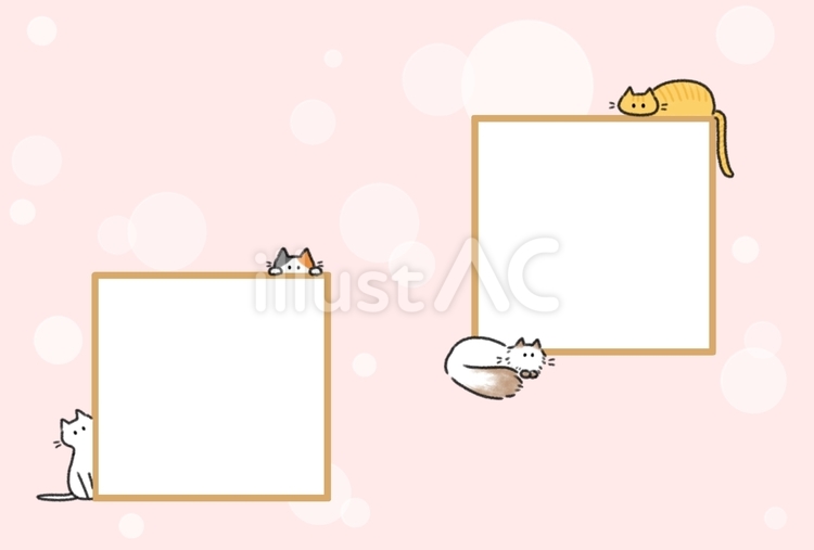 写真2枚用ハガキ はがき,写真,猫のイラスト素材