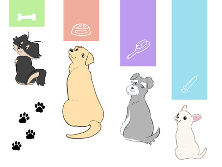 ふりむきポーズのワンちゃん素材 犬,いぬ,イヌ,チワワ,ブラックタン,ゴールデンレトリバー,シュナウザー,dog,動物,生き物のイラスト素材