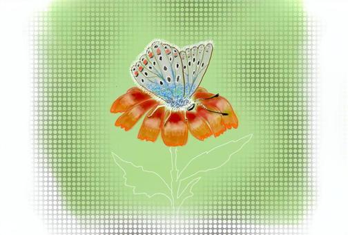 Illustration, butterfly, flower, cute, JPG