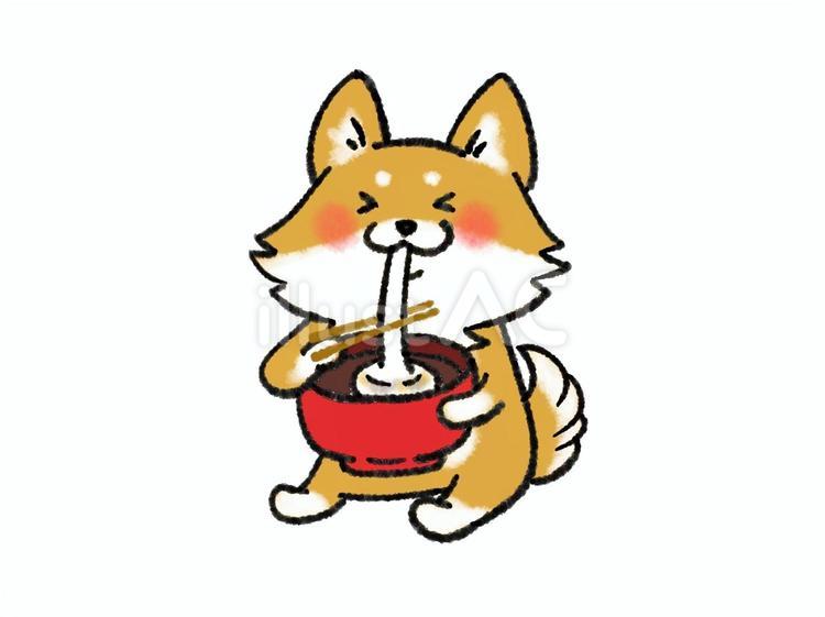 お汁粉を食べる犬さん 犬,柴犬,おしるこのイラスト素材