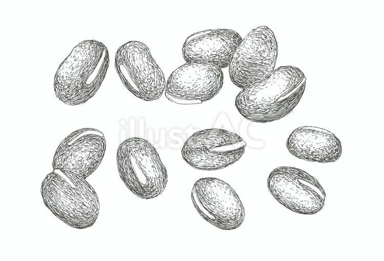 あずきの手描きイラスト素材 小豆,豆類,穀物のイラスト素材