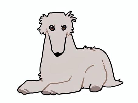 ボルゾイ ボルゾイ 犬,ボルゾイ,ペットのイラスト素材
