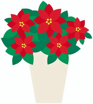 ポインセチア ポインセチア,鉢,植物,飾り,クリスマス,冬,12月,かわいい,カラー,明るいのイラスト素材
