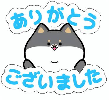 ゆるかわ黒柴のありがとうございました