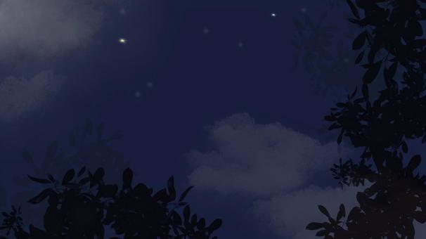 見上げた空気が澄んだ星が綺麗な夜空背景 チラシ,広告,webのイラスト素材