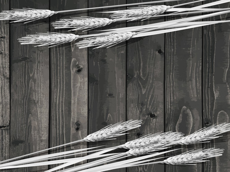 白黒の麦穂と板の背景4 mugi003 白黒の麦穂と板の背景4 mugi003 麦穂,白黒,リアル,ナチュラル,お洒落,自然,植物,大人っぽい,枠,背景のイラスト素材