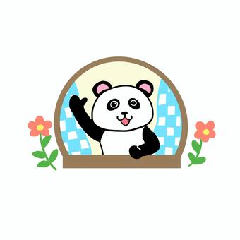 窓辺で挨拶するパンダ パンダ,動物,キャラ,ポップ,かわいい,窓辺,窓,挨拶,おはよう,こんにちはのイラスト素材