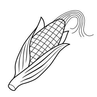 Hình minh họa, ngô, ngũ cốc, mùa hè, 