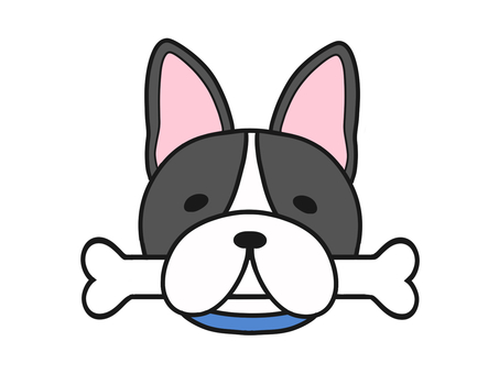 骨を咥えた　青い首輪　フレンチブルドッグ 骨,フレンチブルドッグ,動物,生き物,挿絵,犬,首輪,生物,イラスト,顔のイラスト素材