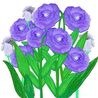 トルコキキョウの紫の花 トルコキキョウ,紫色,複数,花,葉,茎,つぼみのイラスト素材